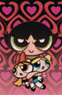 POWERPUFF GIRLS HALLOWEEN SP ONE SHOT CVR E STAGGS FOIL VIRG # cover image