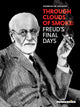 Through Clouds Of Smoke Freuds Final Days Graphic Novel