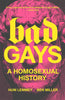 Bad Gays: A Homosexual History (Paperback)