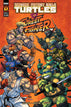 Teenage Mutant Ninja Turtles vs Street Fighter #1 (Of 5) Cover A Medel