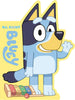 All About Bluey Board Book