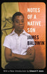 Notes of a Native Son (Hardcover)