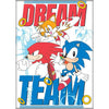 Sonic Dream Team Magnet