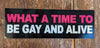 What A Time To Be Gay And Alive Sticker